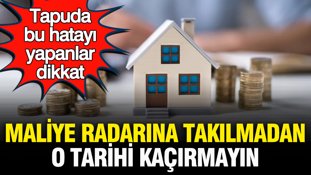 Haber gorseli
